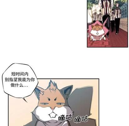 少年的新星 少年的新星 | 第3章 第19页