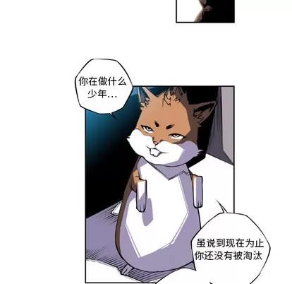 少年的新星 少年的新星 | 第3章 第47页