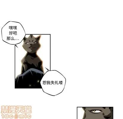 少年的新星 少年的新星 | 第8章 第40页