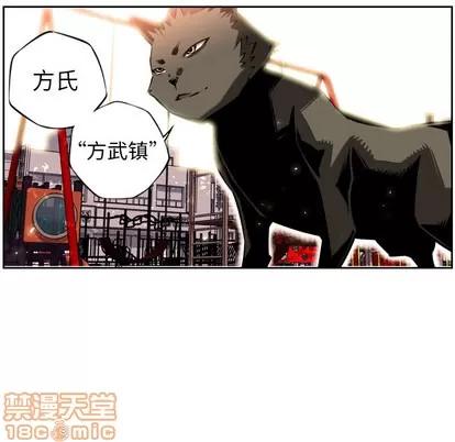 少年的新星 少年的新星 | 第10章 第50页