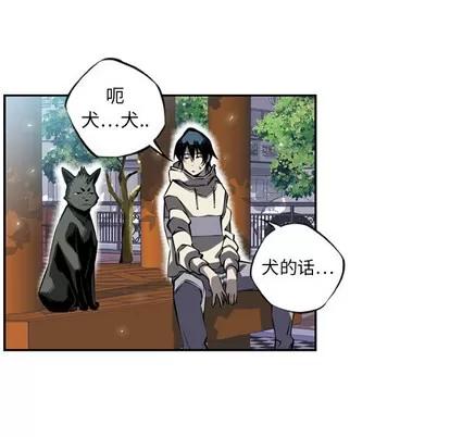 少年的新星 少年的新星 | 第11章 第37页