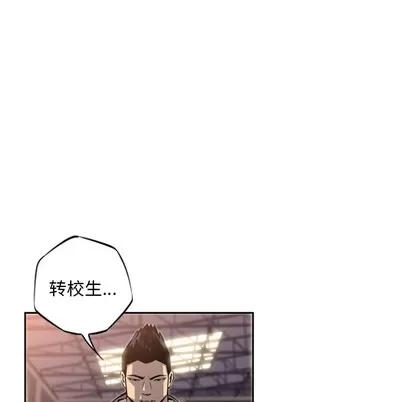 少年的新星 少年的新星 | 第25章 第59页