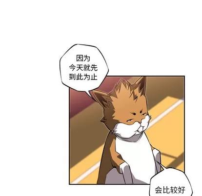 少年的新星 少年的新星 | 第25章 第67页