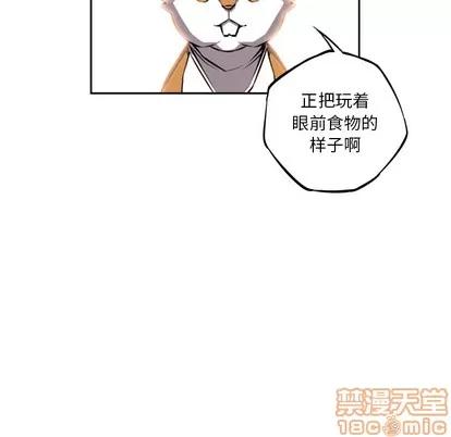 少年的新星 少年的新星 | 第26章 第20页