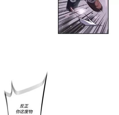 少年的新星 少年的新星 | 第40章 第46页