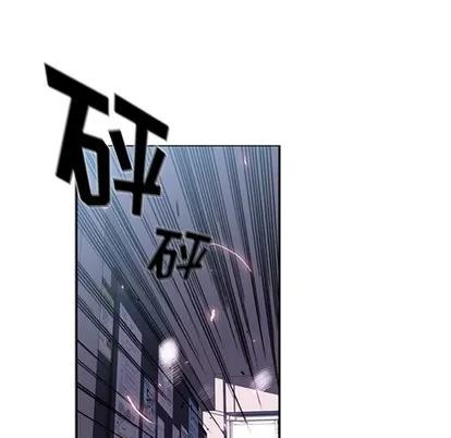少年的新星 少年的新星 | 第41章 第13页