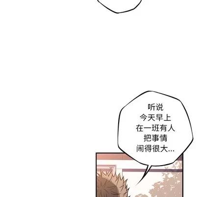 少年的新星 少年的新星 | 第44章 第17页