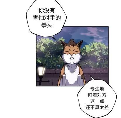 少年的新星 少年的新星 | 第44章 第67页