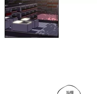 少年的新星 少年的新星 | 第44章 第84页