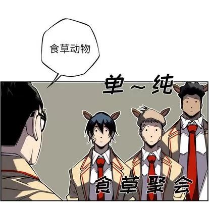 少年的新星 少年的新星 | 第45章 第13页