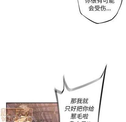 少年的新星 少年的新星 | 第46章 第65页