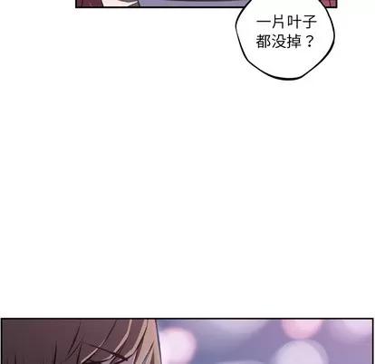 少年的新星 少年的新星 | 第48章 第44页