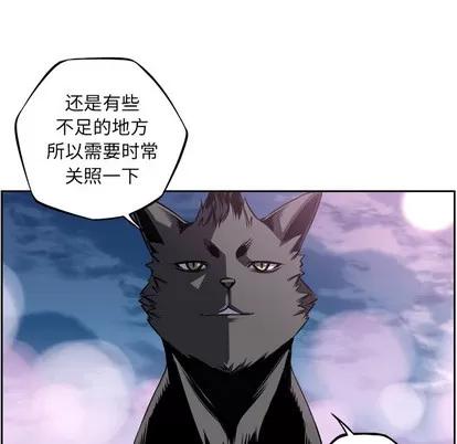少年的新星 少年的新星 | 第49章 第46页