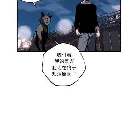 少年的新星 少年的新星 | 第49章 第59页