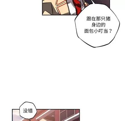 少年的新星 少年的新星 | 第51章 第33页