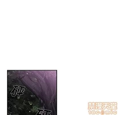 少年的新星 少年的新星 | 第51章 第60页