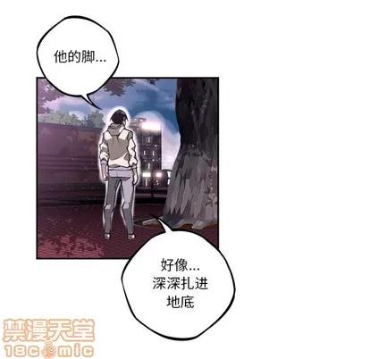 少年的新星 少年的新星 | 第51章 第75页