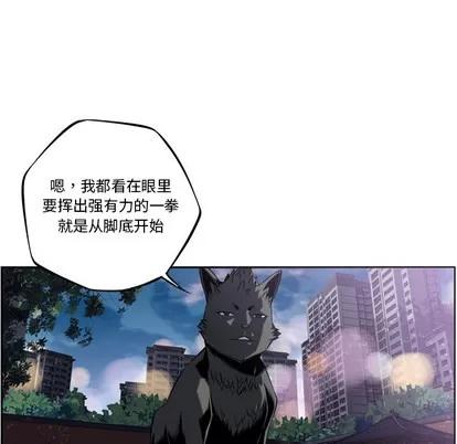 少年的新星 少年的新星 | 第51章 第96页