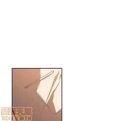 少年的新星 少年的新星 | 第55章 第100页