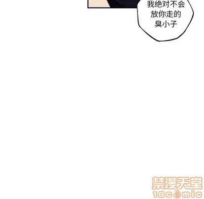 少年的新星 少年的新星 | 第58章 第85页