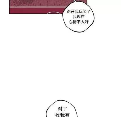 少年的新星 少年的新星 | 第71章 第79页