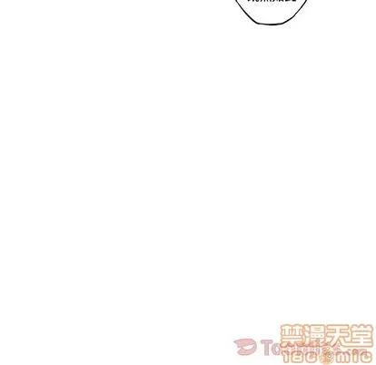 少年的新星 少年的新星 | 第77章 第165页