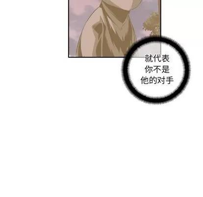 少年的新星 少年的新星 | 第81章 第17页