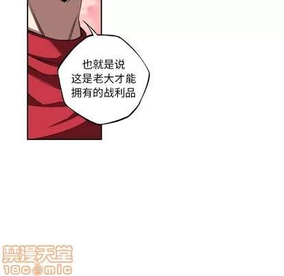 少年的新星 少年的新星 | 第83章 第55页