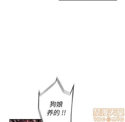 少年的新星 少年的新星 | 第88章 第65页