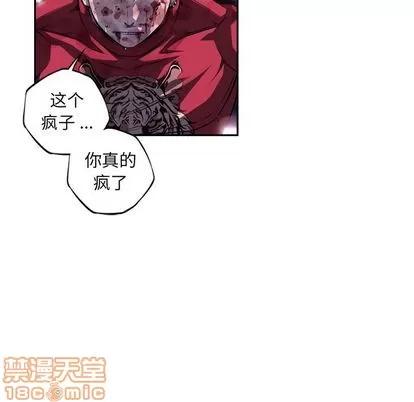 少年的新星 少年的新星 | 第89章 第25页