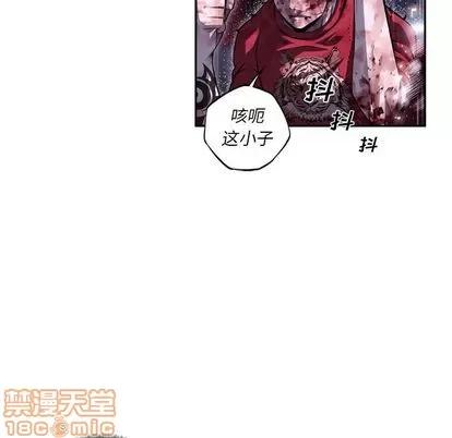 少年的新星 少年的新星 | 第90章 第60页