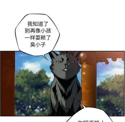 少年的新星 少年的新星 | 第92章 第89页