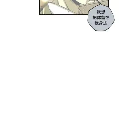 少年的新星 少年的新星 | 第95章 第7页
