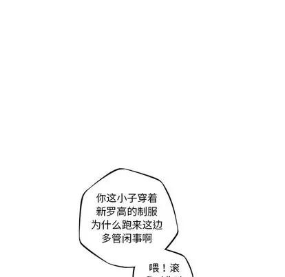 少年的新星 少年的新星 | 第95章 第63页