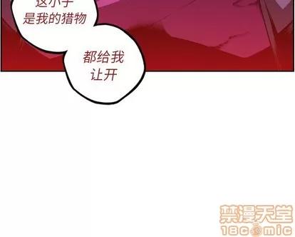 少年的新星 少年的新星 | 第116章 第80页