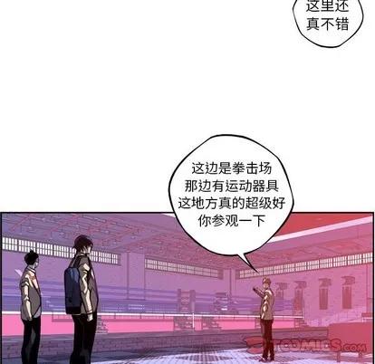 少年的新星 少年的新星 | 第123章 第42页