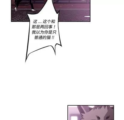 少年的新星 少年的新星 | 第133章 第77页