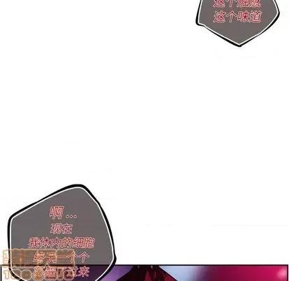 少年的新星 少年的新星 | 第146章 第20页