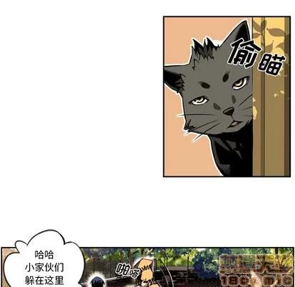 少年的新星 少年的新星 第40页