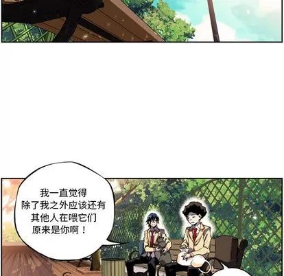 少年的新星 少年的新星 第46页