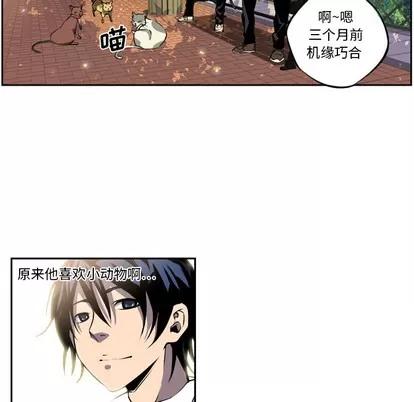 少年的新星 少年的新星 第47页