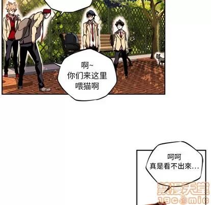 少年的新星 少年的新星 第60页