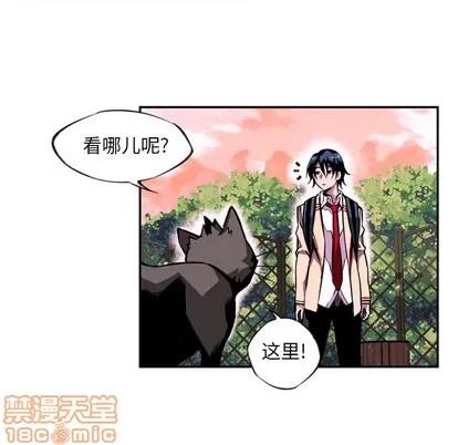 少年的新星 少年的新星 第105页