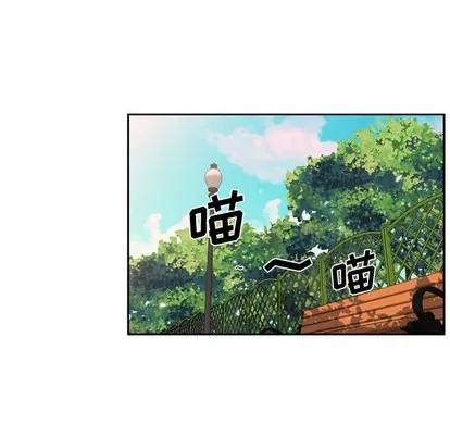 少年的新星 少年的新星 第38页