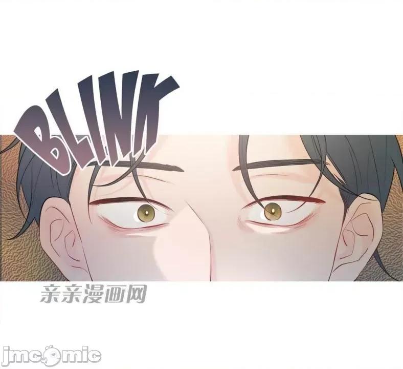 春鸟 春鸟-第4话 第1页