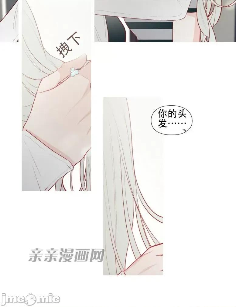 春鸟 春鸟-第19话 第19页