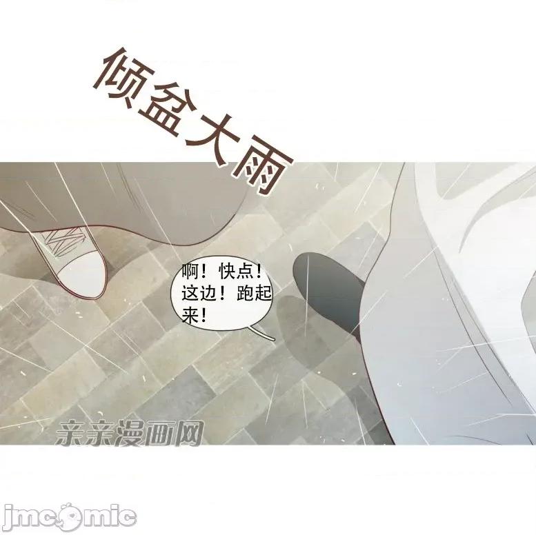 春鸟 春鸟-第19话 第53页