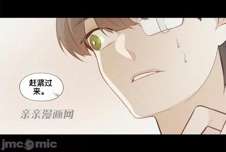 春鸟 春鸟-第38话 第7页