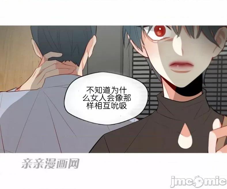 春鸟 春鸟-第53话 第40页