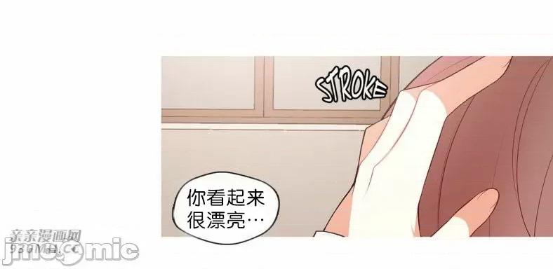 春鸟 春鸟-第62话 第67页